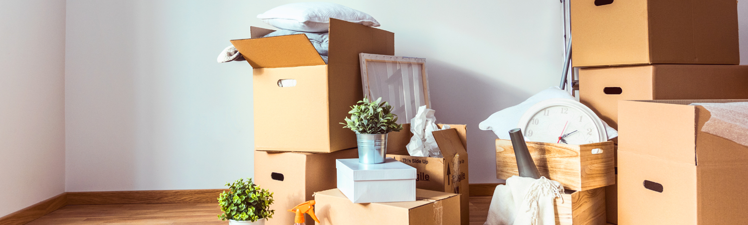 Where to begin packing in preparation for a house move - Armishaws